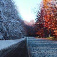 Autumn-vs-winter-5k-5120x2880