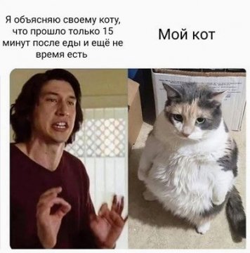 КотЭ)