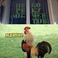 Педореку