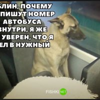 Я думал это двенадцатый номер