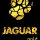 Jaguar(360x640)-spaces ru