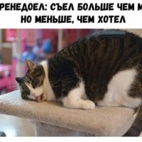 КотЭ)