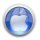 apple logo small