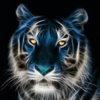 Neon Tiger