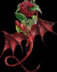 Dragon With Rose