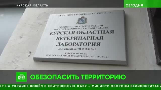 ВСУ намеренно оставляют опасные мины-ловушки в приграничье