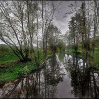 Trees-nature-water-derevya