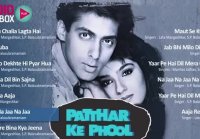 Patthar Ke Phool Movie All Songs Audio Jukebox