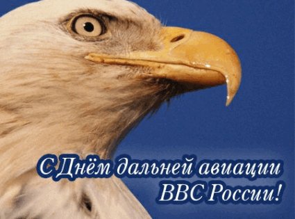 день дальней авиации 23 декабря