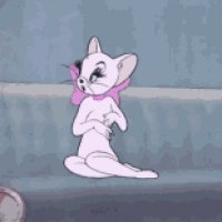 Kitty-tom-and-jerry (1)