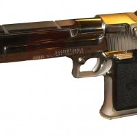 Desert-Eagle-chrome-p1030142