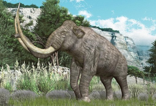 Columbian-mammoth-walter-colvin