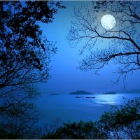 69a68d01b38f36fbfbb05d608a891d6e--beach-night-beautiful-beach