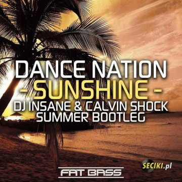 Dance Nation - Sunshine (DJ Insane amp Calvin Shock Summerute