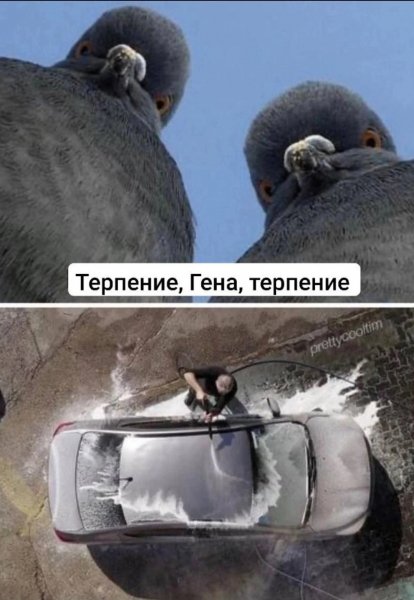 Терпение