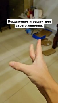 Убежал в доспехах!