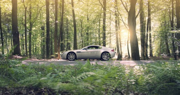 Aston-martin-v8-vantage-aston-1690