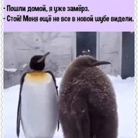 Пошли домой