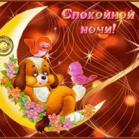 спокойной ночи!