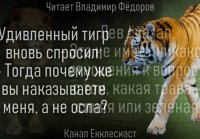 Притча Никогда не разговаривай с ослами