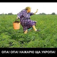 нажарю