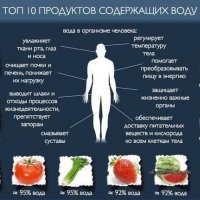 топ 10 продуктов