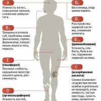 важно знать -какие витамины вам необходимы