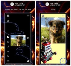 GIF Live Wallpaper v2.10.00