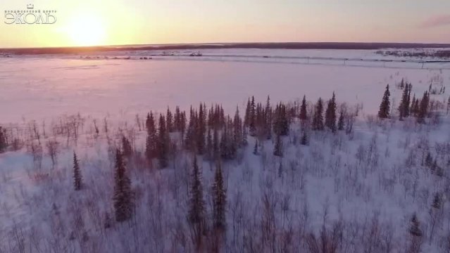 Дарья Волосевич. Небо славян.