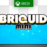 briquid mini