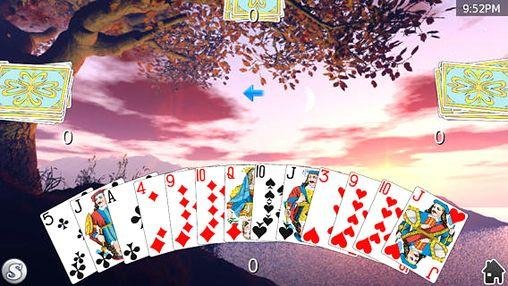 card shark deluxe