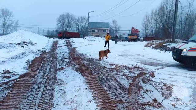 Минутка добра на Мурзаче: в Нижнем Новгороде сотрудники МЧС