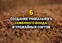 Сталин ☭ 10 ФАКТОВ о которых ЗАПРЕЩЕНО говорить в СМИ !