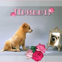 Юля Привет