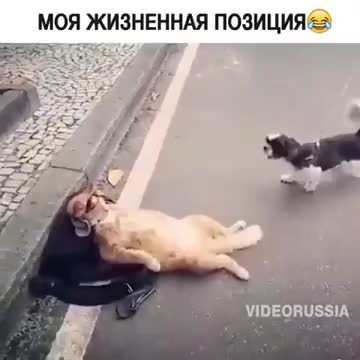 А мне всё пофиг