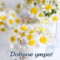 Доброе утро