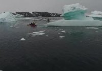 Невероятное видео гренландских китов снятое с воздуха