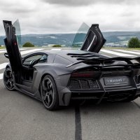 Mansory-lamborghini-aventador-carbonado-otkrytye-dveri-vid-s