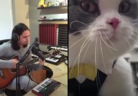 The Kiffness X Big Billy (Live Looping Talking Cat Remix)