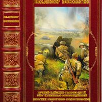 Поселягин. Цикл о В.О.В