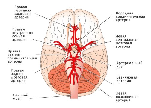 IMG 20240107 195044