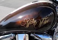 Airbrush & Pinstriping Sugar Brown Babe Custombike