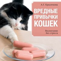 Воспитание кошек