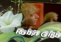 Robin Gibb Like A Fool