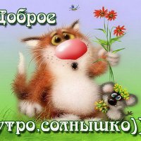 Доброе утро,солнышко)))