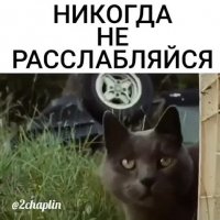 НИКОГДА НЕ РАССЛАБЛЯЙСЯ