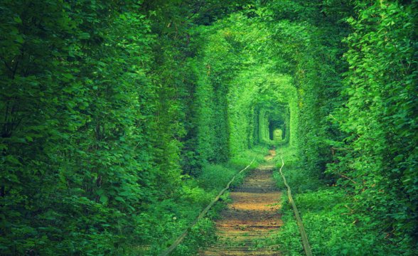 tunnel-of-love-kleven-ok