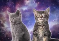 Space Cats Magic Fly