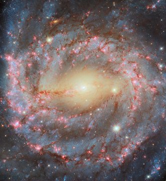 Hubble NGC5643 potw2450a1024