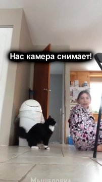 Теперь нет сведетелей